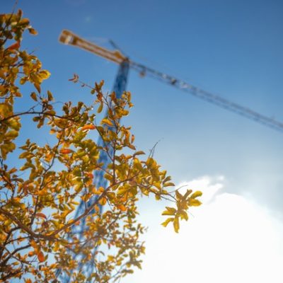 construction-industry-crane-leaves